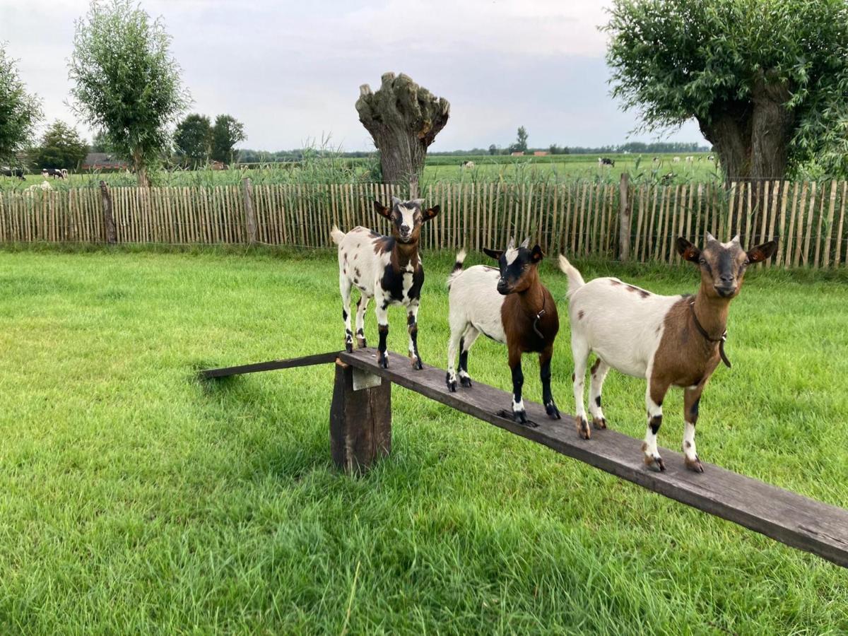 De Burkelhoeve App.A Maldegem Ngoại thất bức ảnh